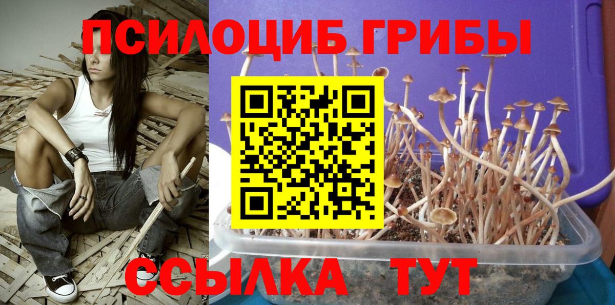 Псилоцибиновые грибы MAGIC MUSHROOMS Нефтеюганск